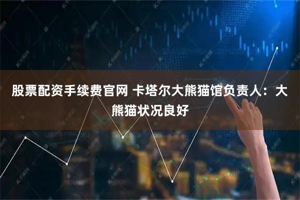 股票配资手续费官网 卡塔尔大熊猫馆负责人：大熊猫状况良好
