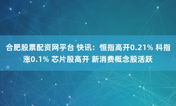 合肥股票配资网平台 快讯：恒指高开0.21% 科指涨0.1% 芯片股高开 新消费概念股活跃