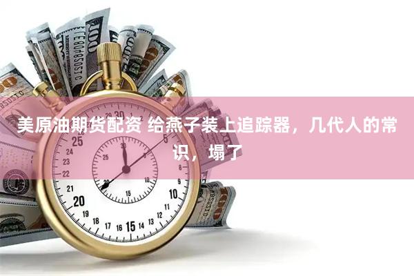 美原油期货配资 给燕子装上追踪器，几代人的常识，塌了