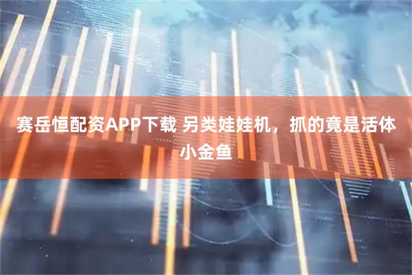赛岳恒配资APP下载 另类娃娃机，抓的竟是活体小金鱼