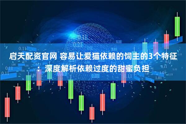 启天配资官网 容易让爱猫依赖的饲主的3个特征：深度解析依赖过度的甜蜜负担