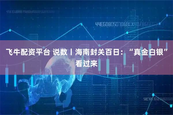 飞牛配资平台 说数丨海南封关百日：“真金白银”看过来