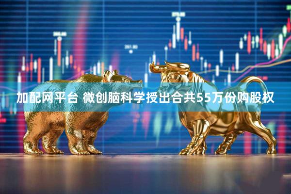 加配网平台 微创脑科学授出合共55万份购股权