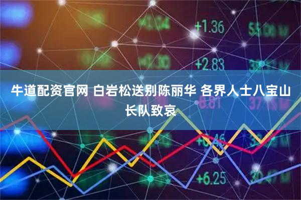 牛道配资官网 白岩松送别陈丽华 各界人士八宝山长队致哀