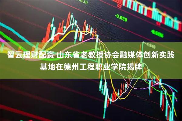 智云理财配资 山东省老教授协会融媒体创新实践基地在德州工程职业学院揭牌